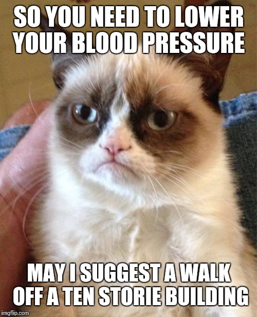 Grumpy Cat Meme | SO YOU NEED TO LOWER YOUR BLOOD PRESSURE MAY I SUGGEST A WALK OFF A TEN STORIE BUILDING | image tagged in memes,grumpy cat | made w/ Imgflip meme maker
