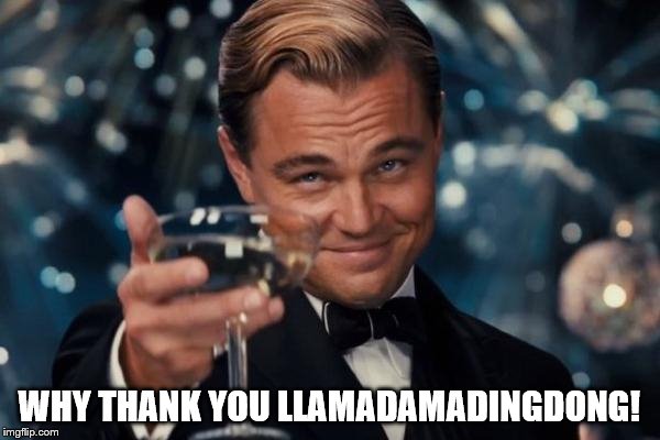 Leonardo Dicaprio Cheers Meme | WHY THANK YOU LLAMADAMADINGDONG! | image tagged in memes,leonardo dicaprio cheers | made w/ Imgflip meme maker