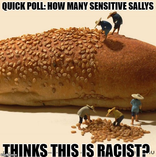 Saysme | QUICK POLL: HOW MANY SENSITIVE SALLYS; THINKS THIS IS RACIST? | image tagged in racist,not racist,meme thinking | made w/ Imgflip meme maker