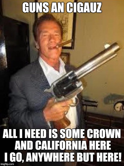 Arnold gun control | GUNS AN CIGAUZ; ALL I NEED IS SOME CROWN AND CALIFORNIA HERE I GO, ANYWHERE BUT HERE! | image tagged in arnold gun control | made w/ Imgflip meme maker
