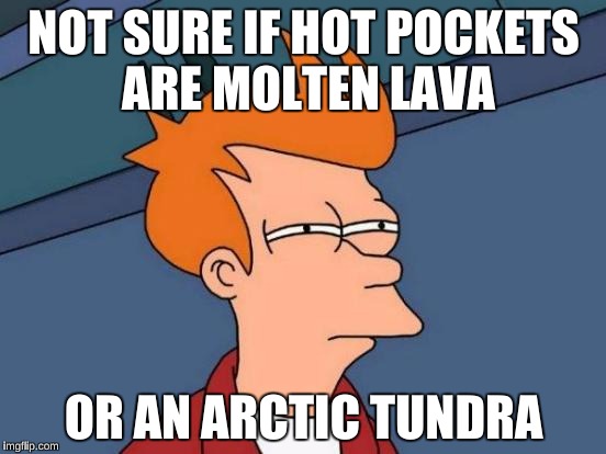 Hot Pockets are probably the most difficult thing to cook properly | NOT SURE IF HOT POCKETS ARE MOLTEN LAVA; OR AN ARCTIC TUNDRA | image tagged in memes,futurama fry,fast food | made w/ Imgflip meme maker