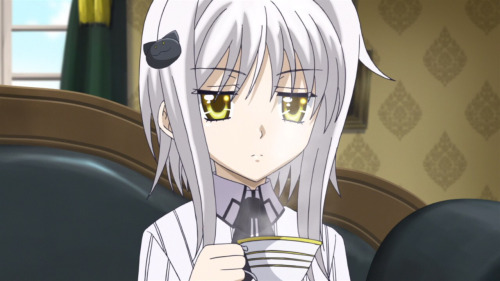 koneko Blank Meme Template