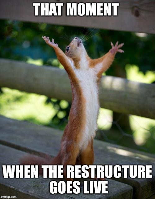 amen squirrel | THAT MOMENT; WHEN THE RESTRUCTURE GOES LIVE | image tagged in amen squirrel | made w/ Imgflip meme maker