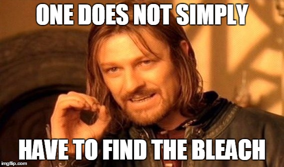 One Does Not Simply Meme | ONE DOES NOT SIMPLY HAVE TO FIND THE BLEACH | image tagged in memes,one does not simply | made w/ Imgflip meme maker