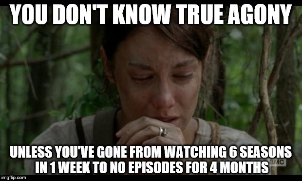 The Walking Dead Maggie/Beth | YOU DON'T KNOW TRUE AGONY; UNLESS YOU'VE GONE FROM WATCHING 6 SEASONS IN 1 WEEK TO NO EPISODES FOR 4 MONTHS | image tagged in the walking dead maggie/beth | made w/ Imgflip meme maker