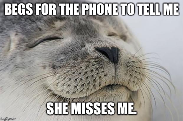 Satisfied Seal Meme | BEGS FOR THE PHONE TO TELL ME; SHE MISSES ME. | image tagged in memes,satisfied seal,AdviceAnimals | made w/ Imgflip meme maker