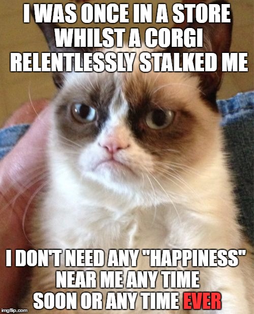 Let's see how many people get the reference | I WAS ONCE IN A STORE WHILST A CORGI RELENTLESSLY STALKED ME I DON'T NEED ANY "HAPPINESS" NEAR ME ANY TIME SOON OR ANY TIME EVER | image tagged in memes,grumpy cat | made w/ Imgflip meme maker