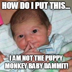 How do I put this baby | HOW DO I PUT THIS... I AM NOT THE PUPPY MONKEY BABY DAMMIT! | image tagged in how do i put this baby,puppy monkey baby,puppymonkeybaby,how do i put this,baby | made w/ Imgflip meme maker