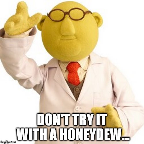 DON'T TRY IT WITH A HONEYDEW... | made w/ Imgflip meme maker