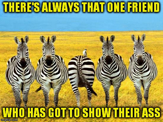 We all got one | THERE'S ALWAYS THAT ONE FRIEND; WHO HAS GOT TO SHOW THEIR ASS | image tagged in memes | made w/ Imgflip meme maker