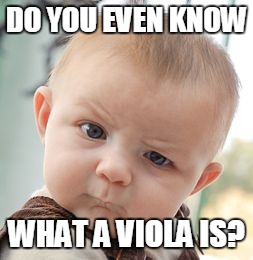 Do you even know what a viola is? | DO YOU EVEN KNOW; WHAT A VIOLA IS? | image tagged in memes,skeptical baby,viola,violas,music | made w/ Imgflip meme maker
