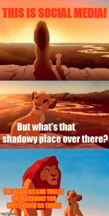 Simba Shadowy Place | THIS IS SOCIAL MEDIA! THE HACKERS AND TROLLS ON FACEBOOK! YOU MUST NEVER GO THERE! | image tagged in memes,simba shadowy place | made w/ Imgflip meme maker