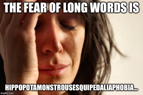First World Problems | THE FEAR OF LONG WORDS IS; HIPPOPOTAMONSTROUSESQUIPEDALIAPHOBIA... | image tagged in memes,first world problems | made w/ Imgflip meme maker