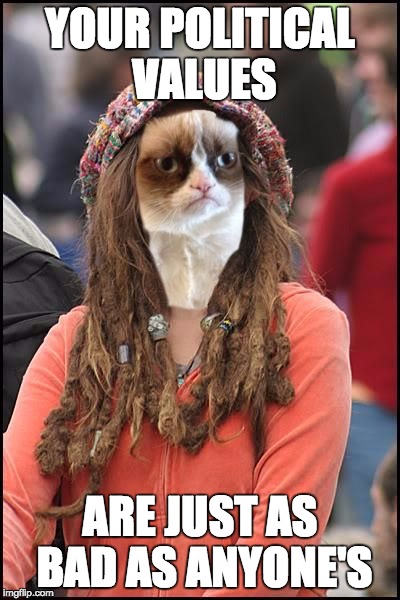 More from the college grumpy cat! | YOUR POLITICAL VALUES; ARE JUST AS BAD AS ANYONE'S | image tagged in college grumpy cat | made w/ Imgflip meme maker