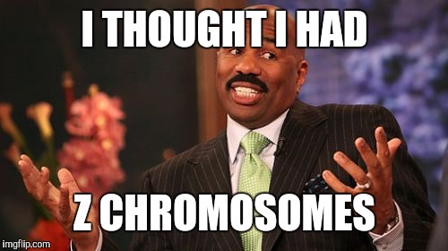 Steve Harvey Meme | I THOUGHT I HAD Z CHROMOSOMES | image tagged in memes,steve harvey | made w/ Imgflip meme maker