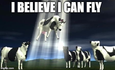 Cows flying - Imgflip