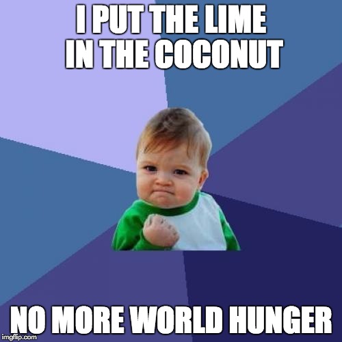 Success Kid | I PUT THE LIME IN THE COCONUT; NO MORE WORLD HUNGER | image tagged in memes,success kid | made w/ Imgflip meme maker