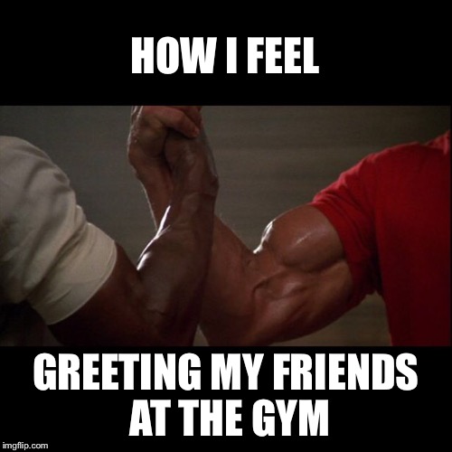 Son of a Bitch | HOW I FEEL; GREETING MY FRIENDS AT THE GYM | image tagged in gym,arnold meme | made w/ Imgflip meme maker