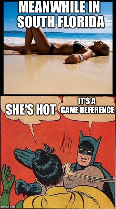 MEANWHILE IN SOUTH FLORIDA SHE'S HOT IT'S A GAME REFERENCE | made w/ Imgflip meme maker