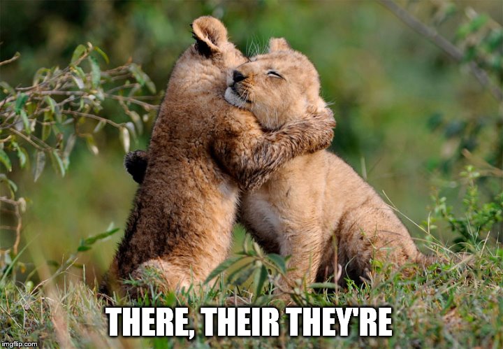 THERE, THEIR THEY'RE | made w/ Imgflip meme maker