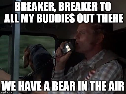 BREAKER, BREAKER TO ALL MY BUDDIES OUT THERE WE HAVE A BEAR IN THE AIR | made w/ Imgflip meme maker