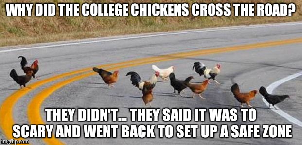 Cock road chickens | WHY DID THE COLLEGE CHICKENS CROSS THE ROAD? THEY DIDN'T... THEY SAID IT WAS TO SCARY AND WENT BACK TO SET UP A SAFE ZONE | image tagged in cock road chickens | made w/ Imgflip meme maker