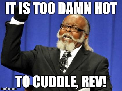 Too Damn High Meme | IT IS TOO DAMN HOT; TO CUDDLE, REV! | image tagged in memes,too damn high | made w/ Imgflip meme maker