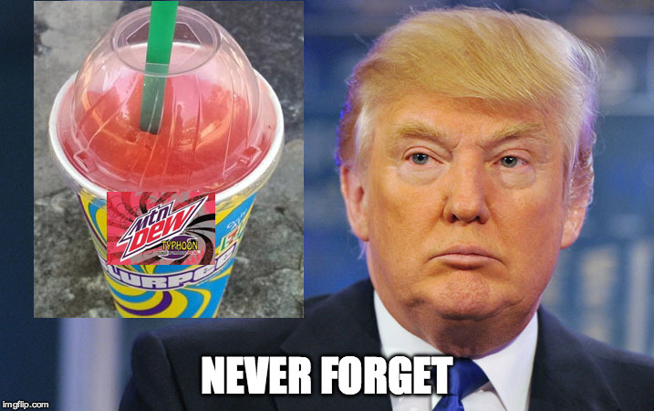 NEVER FORGET | image tagged in donald trump | made w/ Imgflip meme maker