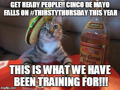 tequila cat | GET READY PEOPLE!! CINCO DE MAYO FALLS ON #THIRSTYTHURSDAY THIS YEAR; THIS IS WHAT WE HAVE BEEN TRAINING FOR!!! | image tagged in tequila cat | made w/ Imgflip meme maker