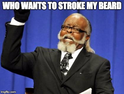 Too Damn High |  WHO WANTS TO STROKE MY BEARD | image tagged in memes,too damn high | made w/ Imgflip meme maker