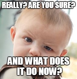 Skeptical Baby Meme | REALLY? ARE YOU SURE? AND WHAT DOES IT DO NOW? | image tagged in memes,skeptical baby | made w/ Imgflip meme maker