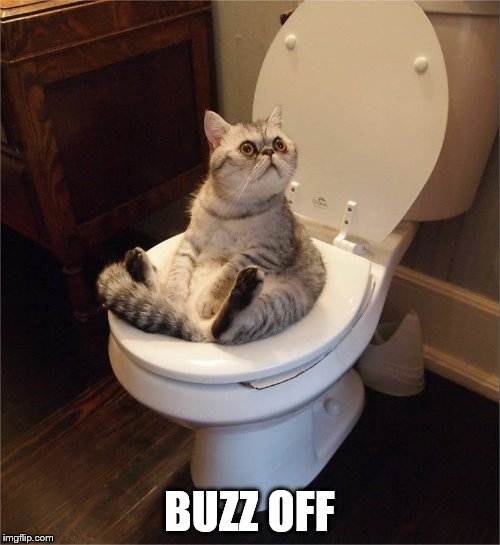BUZZ OFF | made w/ Imgflip meme maker