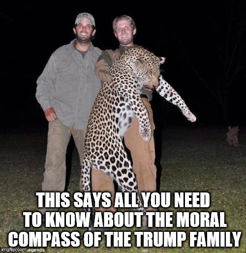 THIS SAYS ALL YOU NEED TO KNOW ABOUT THE MORAL COMPASS OF THE TRUMP FAMILY | image tagged in donald trump,gop,donald trump jr,eric trump,big cat,small dicks | made w/ Imgflip meme maker
