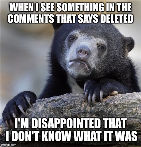 Confession Bear Meme | WHEN I SEE SOMETHING IN THE COMMENTS THAT SAYS DELETED; I'M DISAPPOINTED THAT I DON'T KNOW WHAT IT WAS | image tagged in memes,confession bear | made w/ Imgflip meme maker