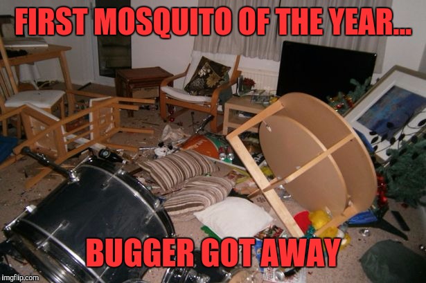 Sonova b!t@#.  | FIRST MOSQUITO OF THE YEAR... BUGGER GOT AWAY | image tagged in memes,funny,mosquito | made w/ Imgflip meme maker