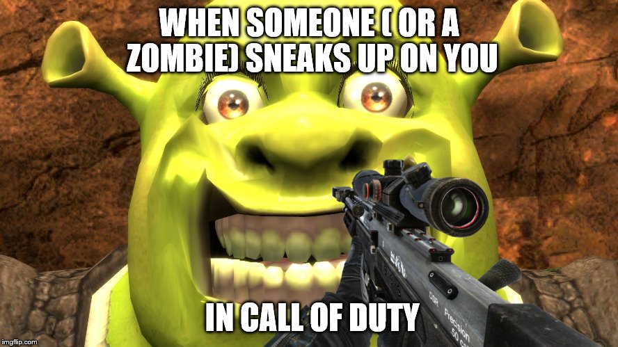 Prepare your anus ( He's gonna Shrek you! )  |  WHEN SOMEONE ( OR A ZOMBIE) SNEAKS UP ON YOU; IN CALL OF DUTY | image tagged in shrek | made w/ Imgflip meme maker
