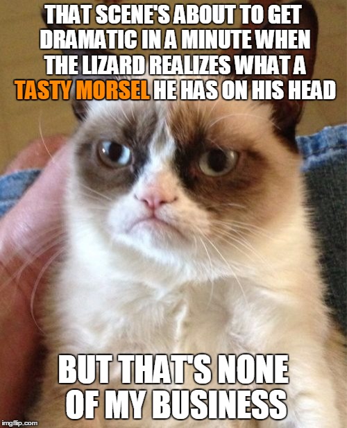 Grumpy Cat Meme | THAT SCENE'S ABOUT TO GET DRAMATIC IN A MINUTE WHEN THE LIZARD REALIZES WHAT A TASTY MORSEL HE HAS ON HIS HEAD BUT THAT'S NONE OF MY BUSINES | image tagged in memes,grumpy cat | made w/ Imgflip meme maker