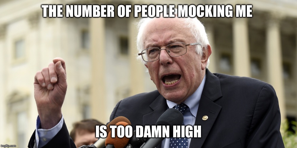 bernie sanders too damn high | THE NUMBER OF PEOPLE MOCKING ME; IS TOO DAMN HIGH | image tagged in bernie sanders too damn high | made w/ Imgflip meme maker