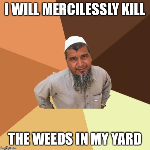 Good landscaping.., | I WILL MERCILESSLY KILL; THE WEEDS IN MY YARD | image tagged in memes,ordinary muslim man | made w/ Imgflip meme maker