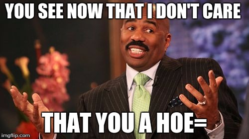 YOU SEE NOW THAT I DON'T CARE; THAT YOU A HOE= | image tagged in memes,steve harvey | made w/ Imgflip meme maker