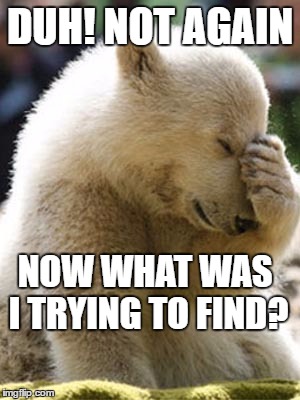 Facepalm Bear | DUH! NOT AGAIN; NOW WHAT WAS I TRYING TO FIND? | image tagged in memes,facepalm bear | made w/ Imgflip meme maker
