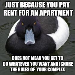 Angry Advice Mallard | JUST BECAUSE YOU PAY RENT FOR AN APARTMENT; DOES NOT MEAN YOU GET TO DO WHATEVER YOU WANT AND IGNORE THE RULES OF  YOUR COMPLEX | image tagged in angry advice mallard,AdviceAnimals | made w/ Imgflip meme maker