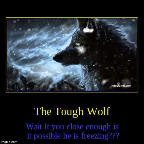 Tough Wolf | image tagged in funny,demotivationals | made w/ Imgflip demotivational maker