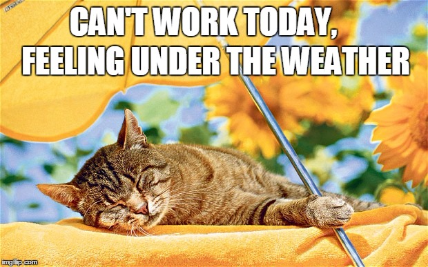 Under the weather | FEELING UNDER THE WEATHER; CAN'T WORK TODAY, | image tagged in sick,work | made w/ Imgflip meme maker