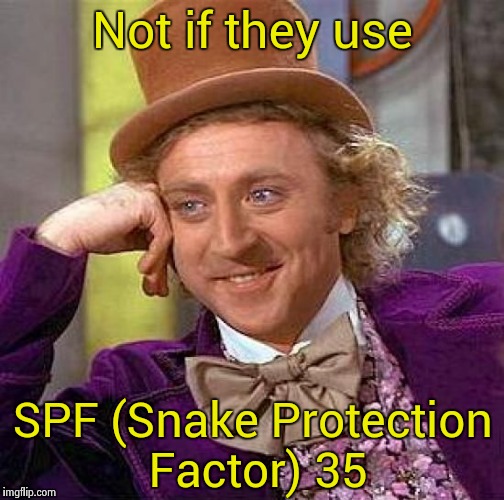 Creepy Condescending Wonka Meme | Not if they use SPF (Snake Protection Factor) 35 | image tagged in memes,creepy condescending wonka | made w/ Imgflip meme maker