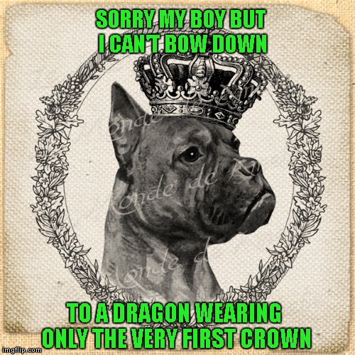 SORRY MY BOY BUT I CAN'T BOW DOWN TO A DRAGON WEARING ONLY THE VERY FIRST CROWN | made w/ Imgflip meme maker
