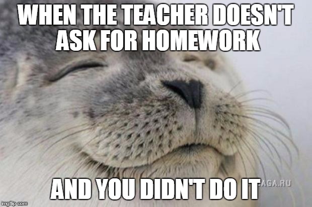 Happy Seal | WHEN THE TEACHER DOESN'T ASK FOR HOMEWORK; AND YOU DIDN'T DO IT | image tagged in happy seal | made w/ Imgflip meme maker