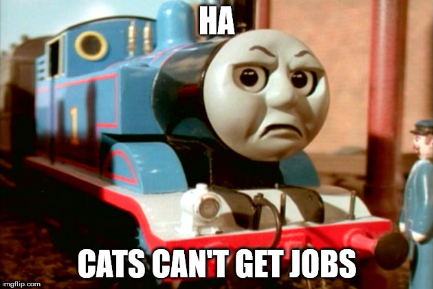 You Can't Grounded Thomas | HA CATS CAN'T GET JOBS | image tagged in you can't grounded thomas | made w/ Imgflip meme maker
