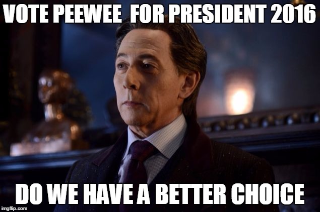 VOTE PEEWEE  FOR PRESIDENT 2016; DO WE HAVE A BETTER CHOICE | image tagged in peewee 2016 | made w/ Imgflip meme maker