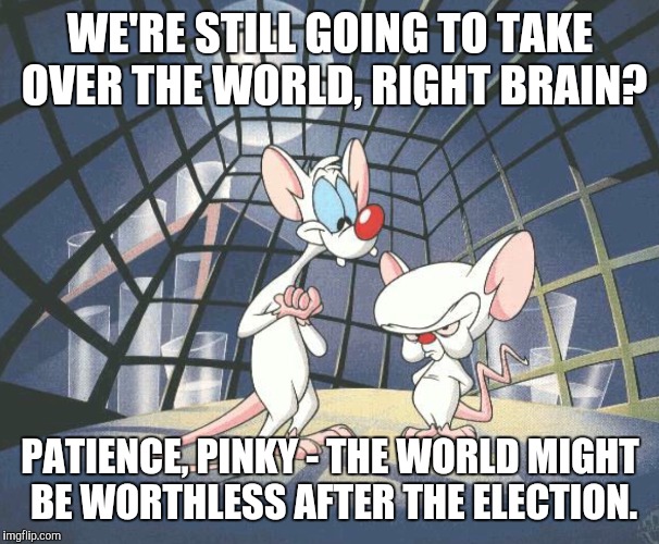 Brain | WE'RE STILL GOING TO TAKE OVER THE WORLD, RIGHT BRAIN? PATIENCE, PINKY - THE WORLD MIGHT BE WORTHLESS AFTER THE ELECTION. | image tagged in pinky and the brain | made w/ Imgflip meme maker